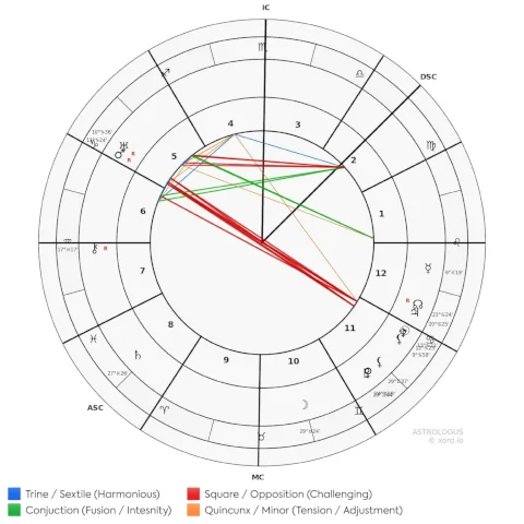 Professional birth chart