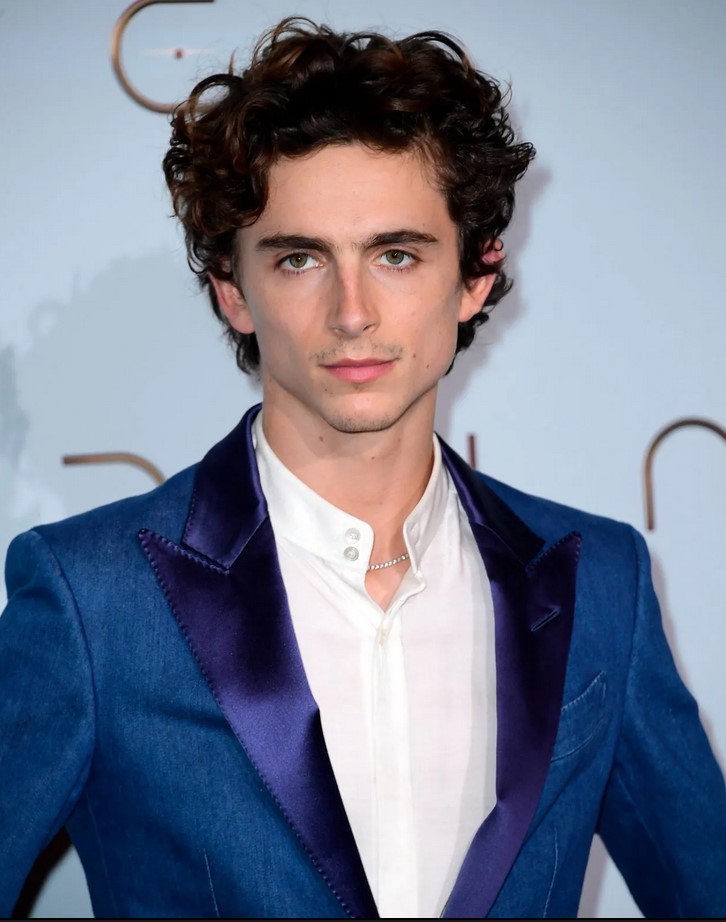 Timothée Chalamet at the Paris premiere of Dune, 2021.
